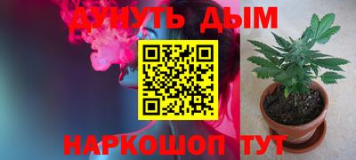 дмт Гатчина
