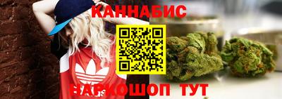 дмт Гатчина