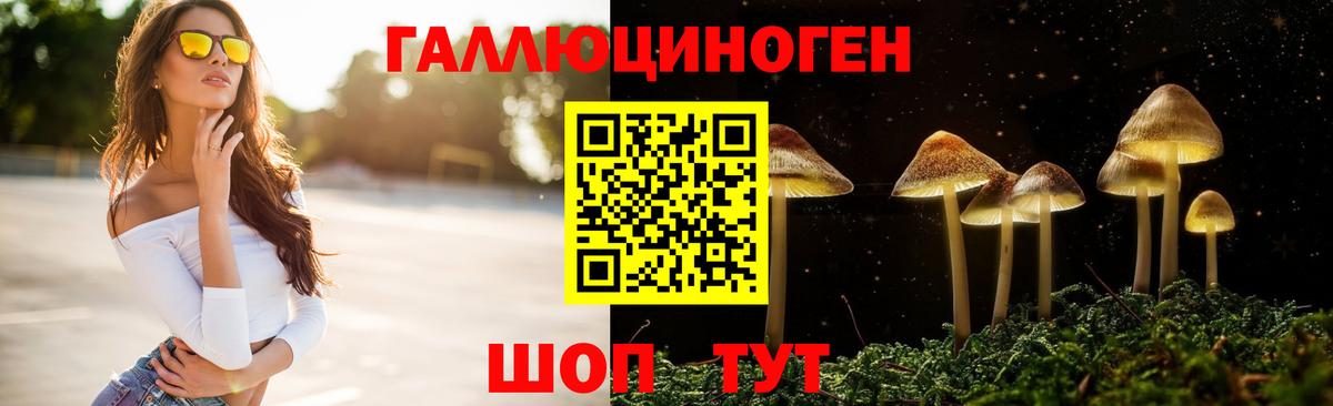 Тула  Псилоцибиновые грибы мухоморы  Вход с VPN 